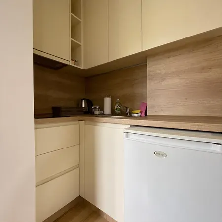 Videnovic Apartment