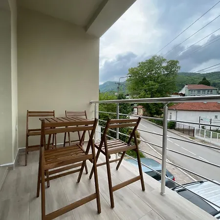 Videnovic ソコバニャ