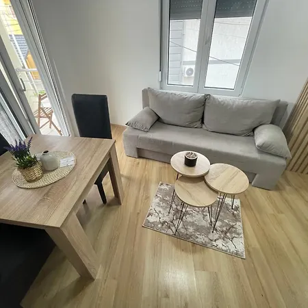 Videnovic Apartament *