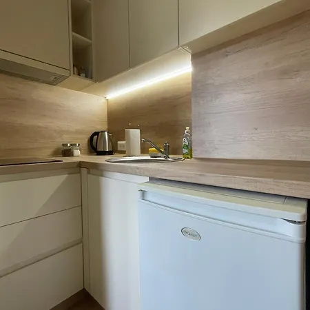 Videnovic Apartment *