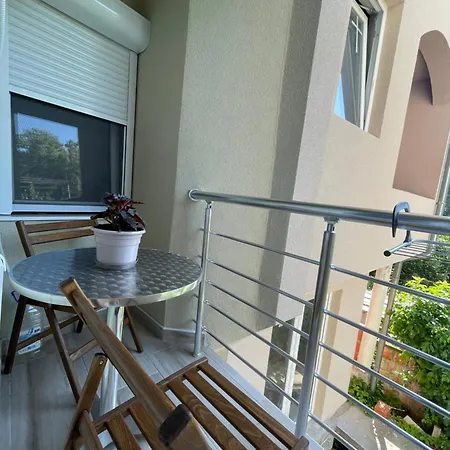 Videnovic Soko Banja