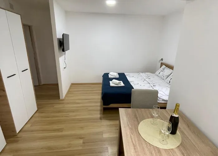 Videnovic Appartement Sokobanja