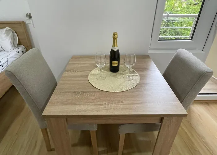 Videnovic Soko Banja