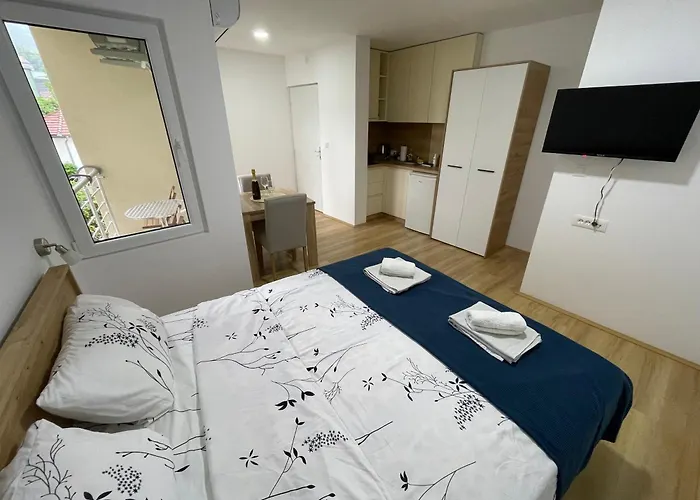 Videnovic * Soko Banja