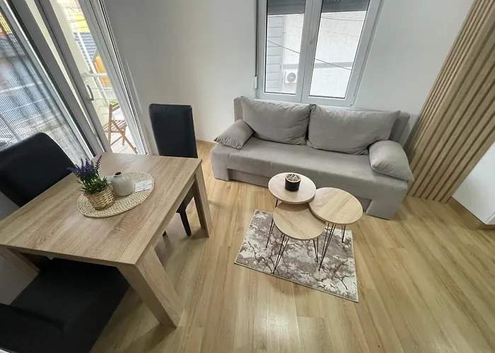 Videnovic Apartman *