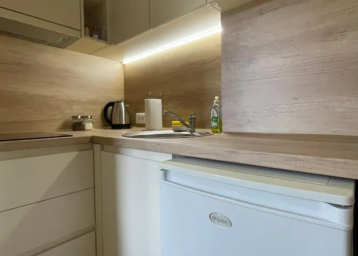 Videnovic Appartement *