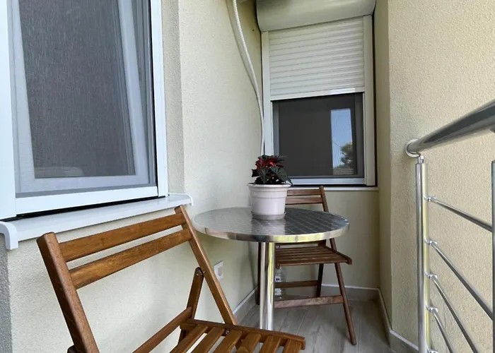 Videnovic Soko Banja